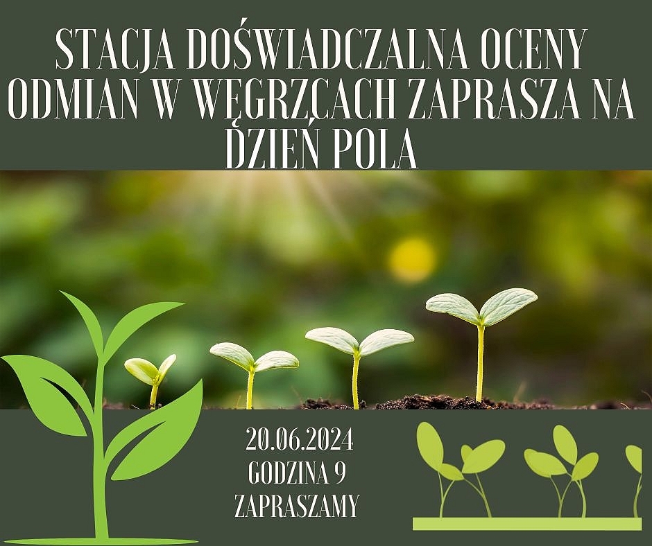 plakat:SDOO Węgrzce
LStacji Doświadczalnej Oceny Odmian w Węgrzcach
SERDECZNIE ZAPRASZAMY
DZIEŃ POLA 20 czerwcza 2024 roku o godzinie 9